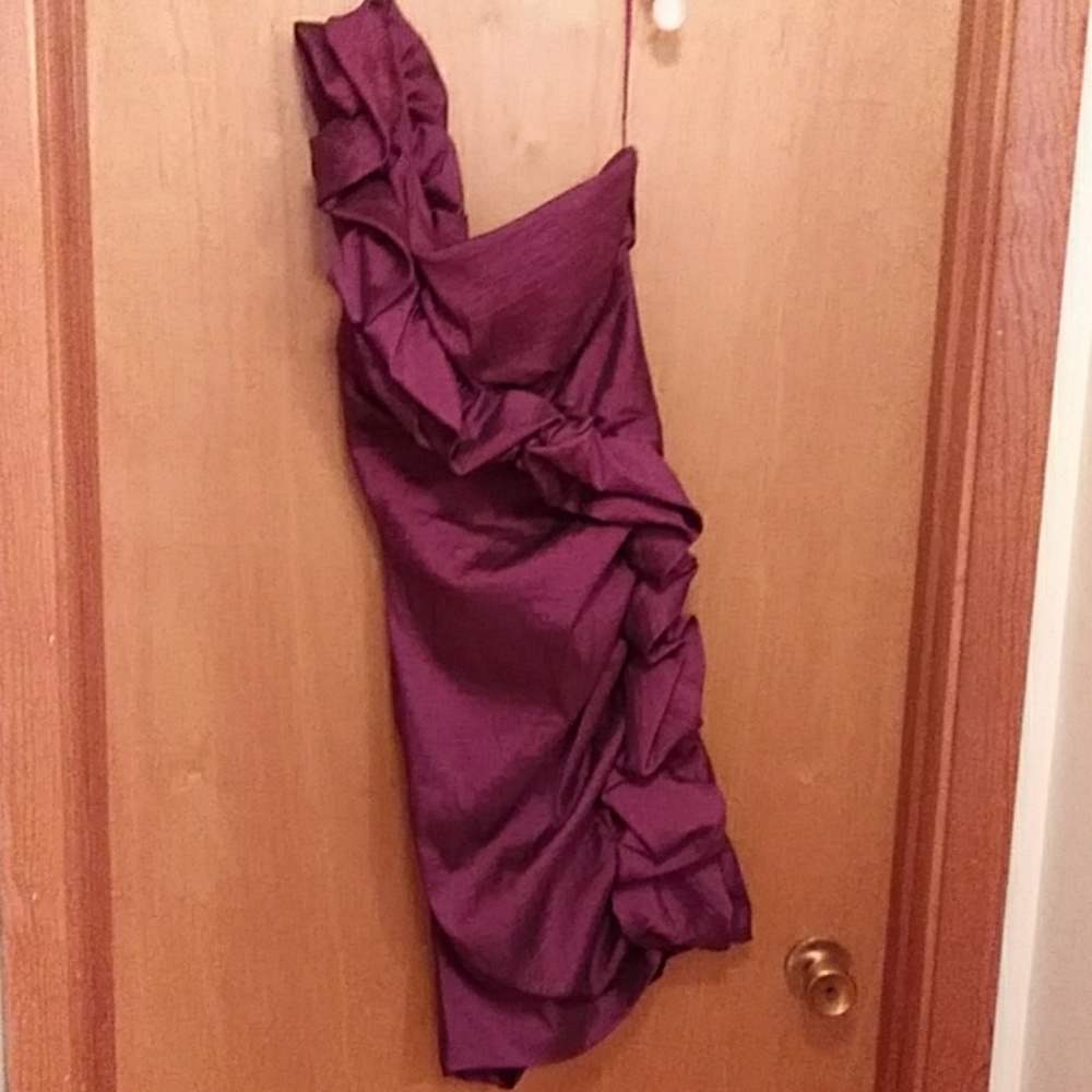 S.L. Fashions Dress